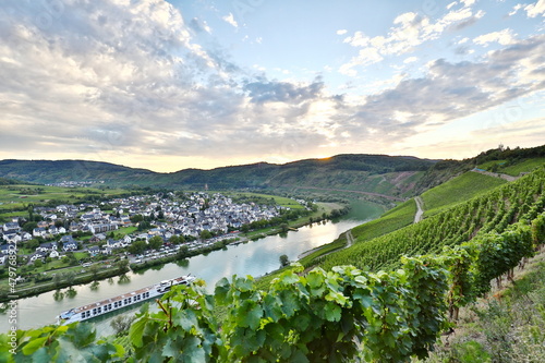 summer landscape of Moselle valley