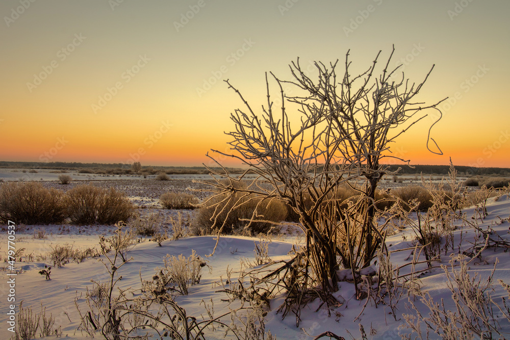 winter landscape. morning frost and sun on a snowy field by the river