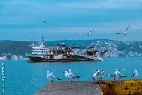 fisherman fishing boats on Bosporus Istanbul on a Foggy sunrise. Rainy clouds and dark weather. seagulls flying over the sea