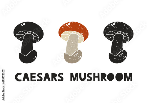 Caesars mushroom, silhouette icons set with lettering. Imitation of stamp, print with scuffs. Simple black shape and color vector illustration. Hand drawn isolated elements on white background photo