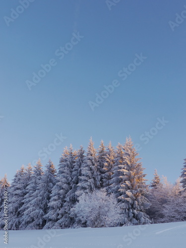 snow landscape winter