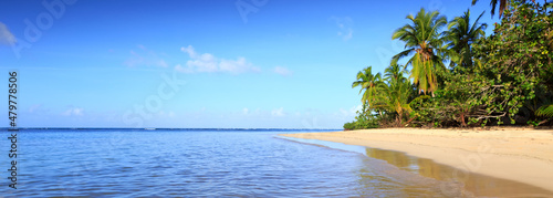 Fototapeta Naklejka Na Ścianę i Meble -  Green palm trees on caribbean beach. Travel background.