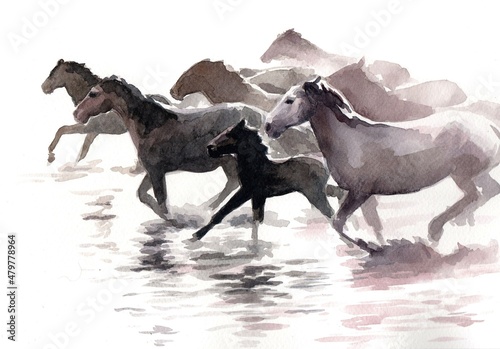 Delicate watercolor in a narrow range of colors: a herd of horses galloping through water. Horses painted with water and sun.  photo