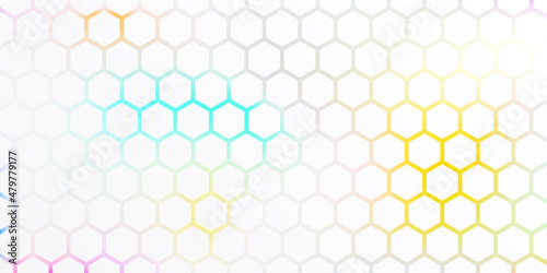 Hexagon seamless pattern with blue and yellow flowers. Abstract black hexagon pattern with blue light background.