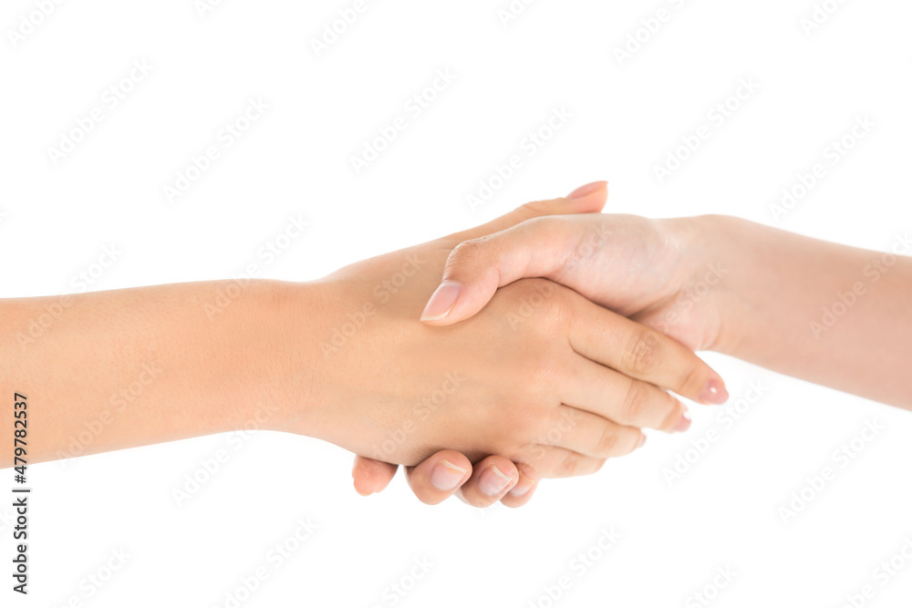 cropped view of young women shaking hands isolated on white.