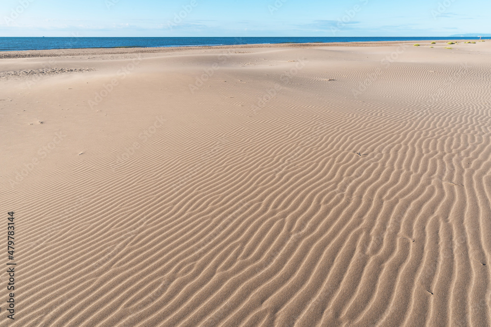 Sand beach Eucaliptos-Delta del Ebro