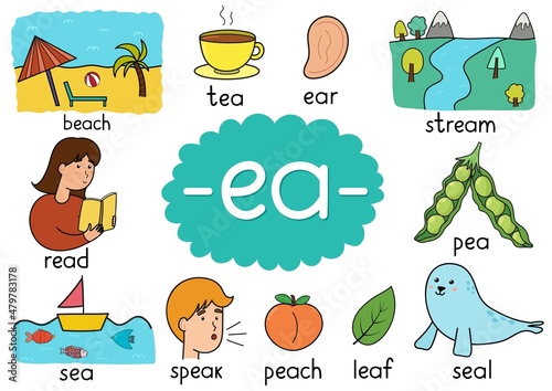 Ea digraph spelling rule educational poster for kids with words. Learning phonics for school and preschool. Phonetic worksheet. Vector illustration photo