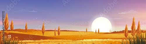 Autumn rural landscape in evening light with sunset, blue and orange sky background,Vector Cartoon fall season at countryside with forest tree and grass field with sunrise,Backdrop natural