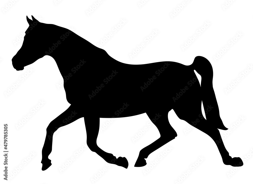 
Silhouette horse. Isolated illustration of a horse. The horse is running.