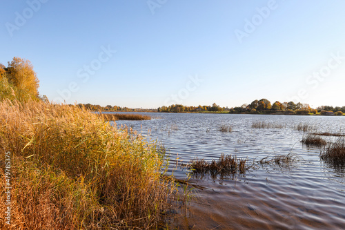 Lovely autumn view with seagrass and river Daugava.