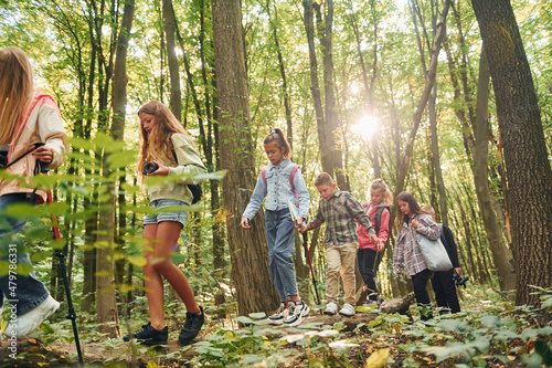 Fotografi Walking together. Kids in green forest at summer daytime together