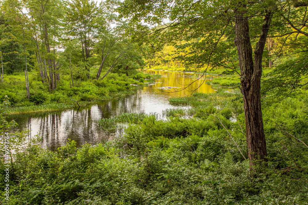 The Tully River in Royalston, Massachusetts The Tully River in Royalston, Massachusetts