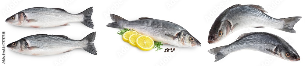 Sea bass fich isolated on white background. Top view. Flat lay. Set or collection Sea bass fich isolated on white background. Top view. Flat lay. Set or collection