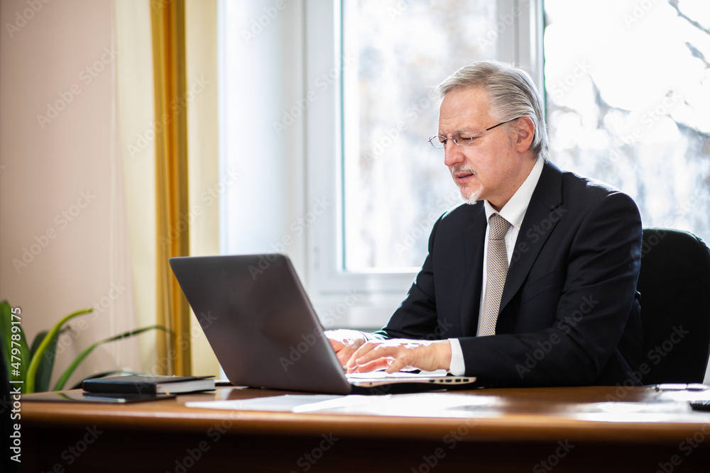 Smiling businessman in his office Smiling businessman in his office