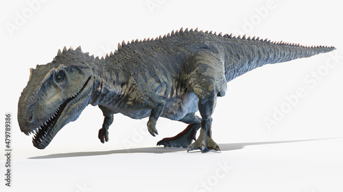 3d rendered illustration of a Giganotosaurus © Sebastian Kaulitzki
