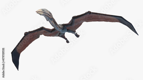 Fototapeta Naklejka Na Ścianę i Meble -  3d rendered illustration of a Hazegopteryx