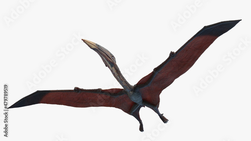 3d rendered illustration of a Hazegopteryx