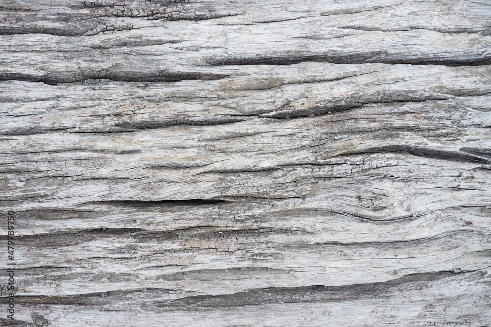 Old wooden panel with texture and deep grain for background and decoration Old wooden panel with texture and deep grain for background and decoration