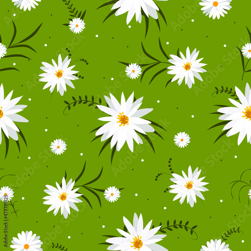 seamless pattern with white flowers camomiles on a green background. Blossom white flowers on the green meadow pattern