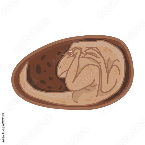 illustration of Dinosaurus Egg on Tucking position