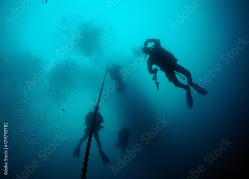 Scuba divers near anchor line in deep water, San Clemente Island, California, US Fototapet