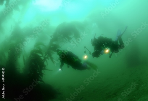 Scuba divers in poor visibility, San Clemente Island, California, USA