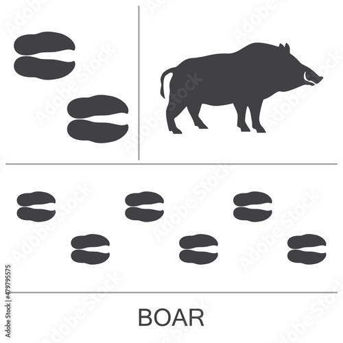 Silhouette and footprints of a wild boar. Vector illustration on a white background.