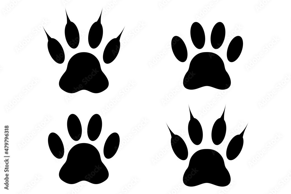 Fototapeta premium A set of paw prints isolated on white background. Good design element. 