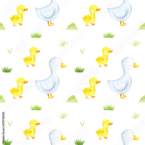 Duck goose seamless watercolor pattern.  Cute farm illustration isolated. Baby animal bird background