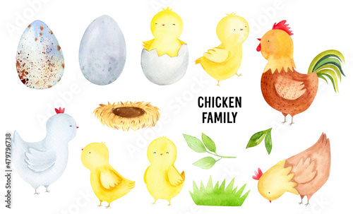 Set of watercolor chicken and eggs. Cute farm illustration isolated. Easter eggs, chicks and hen. Baby animal illustration