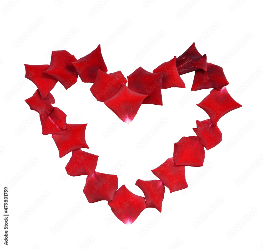 heart made of red rose petals isolated heart made of red rose petals isolated