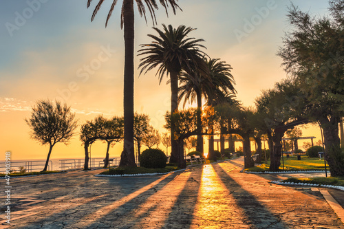 public garden in Santander, Spain at sunrise and palm shadows - sky at sunrise. © Armando Oliveira