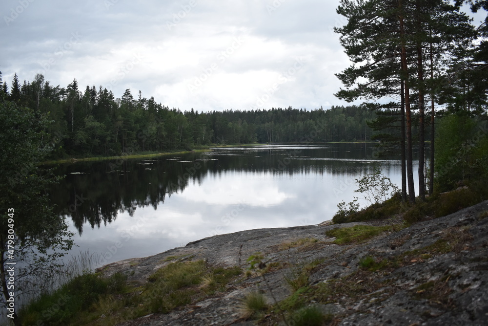 idyllic lake in sweden, with refreshing and cold water