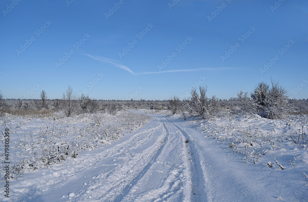 Obraz premium Winter landscape with interesting swoosh cloud.