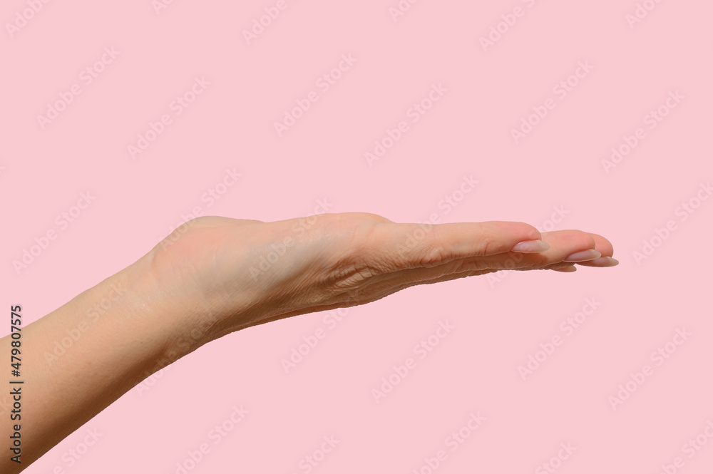 Woman's hand empty on a pink background. Concept. Close-up.