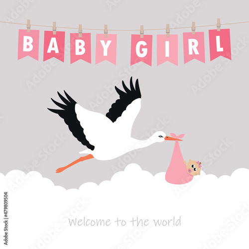 baby girl welcome greeting card with stork and party flag