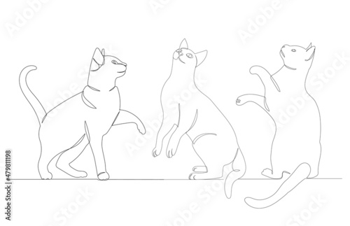 cats set drawing by one continuous line, isolated, vector