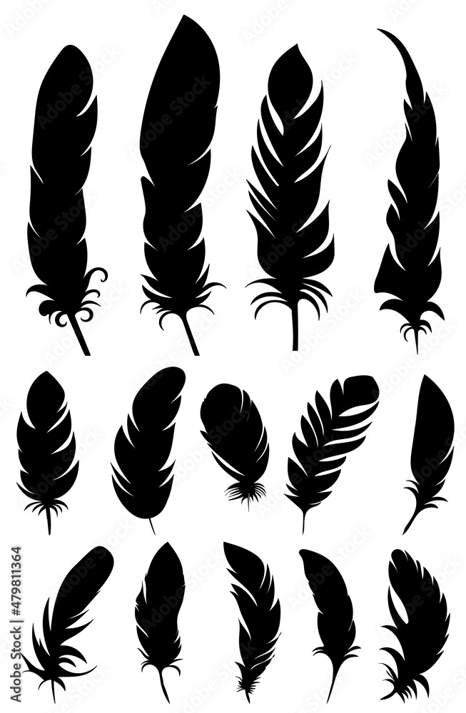 feather bird silhouette collection, isolated, vector feather bird silhouette collection, isolated, vector