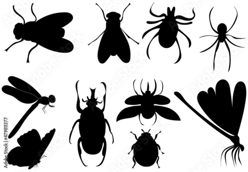 Fototapeta insects silhouette collection, isolated, vector
