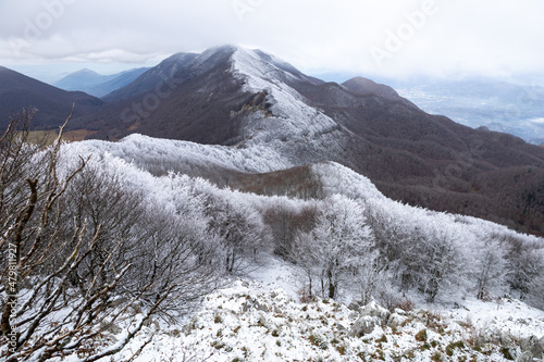 Konstfotografi Beautiful winter atmosphere with trees full of frozen snow