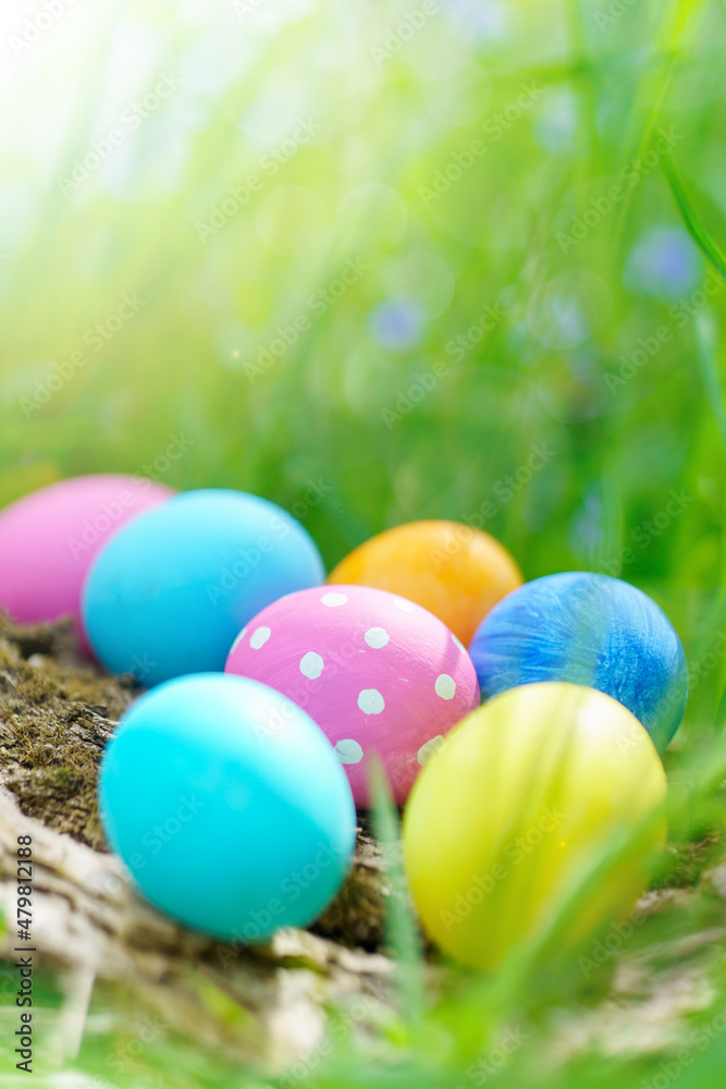 Decorated Easter eggs in grass outdoor, Happy Easter background
