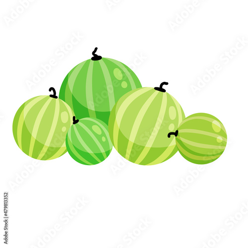 Bunch of watermelons. Pile of summer fruits.