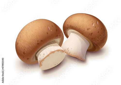 Champignon. Whole mushroom, Isolated on white background. Eps10 vector illustration.