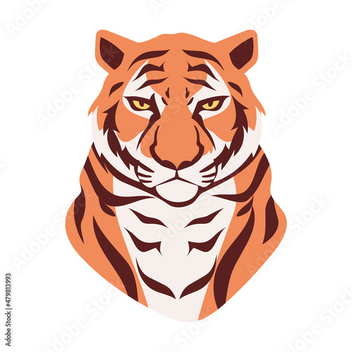 tiger animal portrait