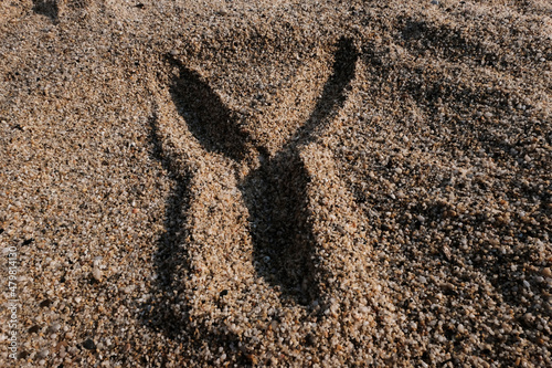 English alphabet. Sand on the beach. The letter Y