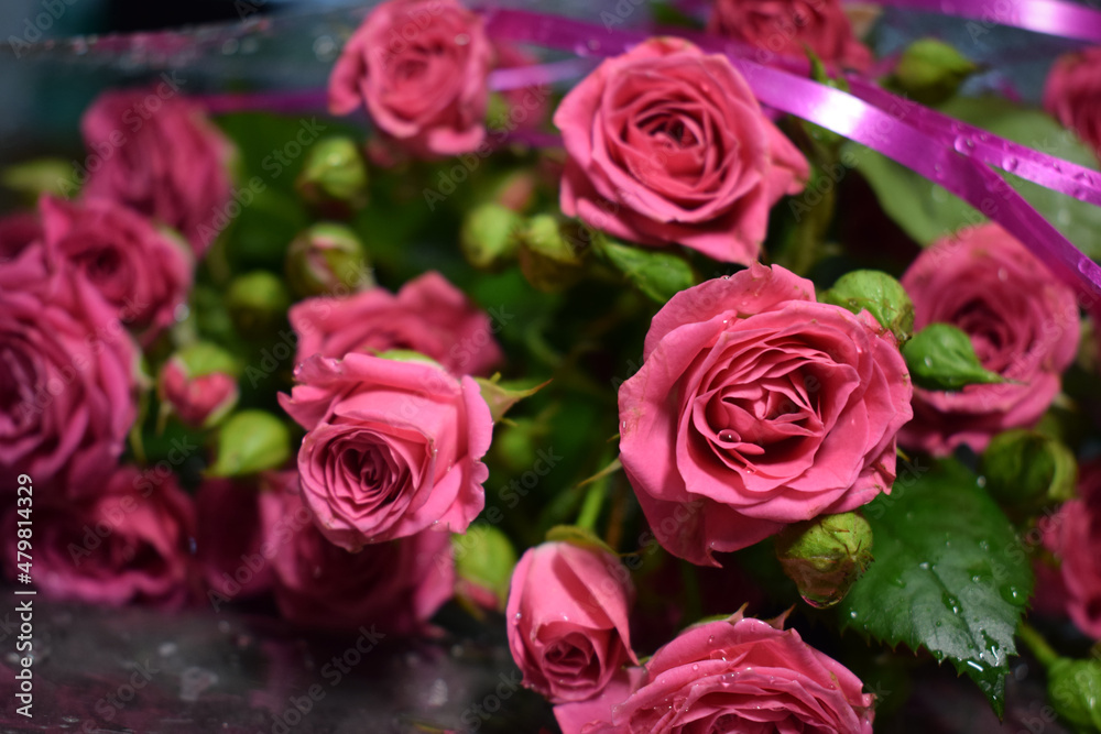 Bouquet of scarlet roses on a gray background, beautiful flowers with water drops Bouquet of scarlet roses on a gray background, beautiful flowers with water drops