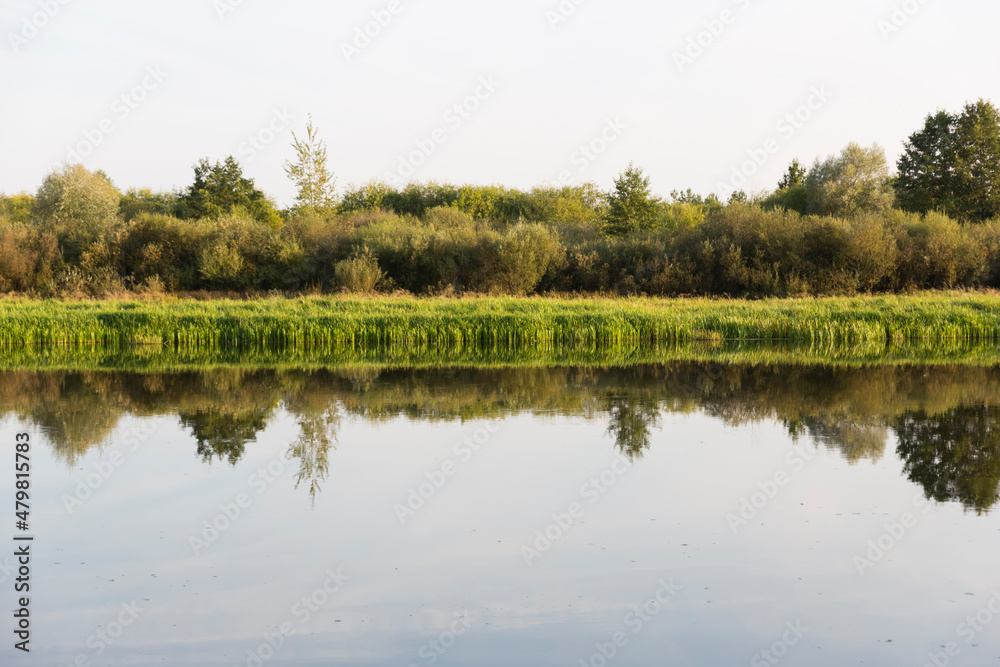 Autumn forest behind the lake. Sky with sun and white clouds. Red-green forest.