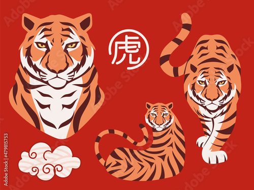 icons year of the tiger
