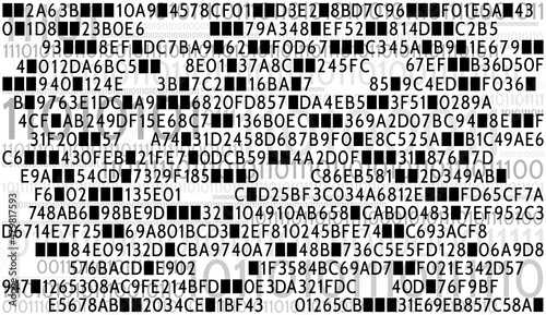 Fond de Code Hexadécimal et Code Binaire Noir Gris