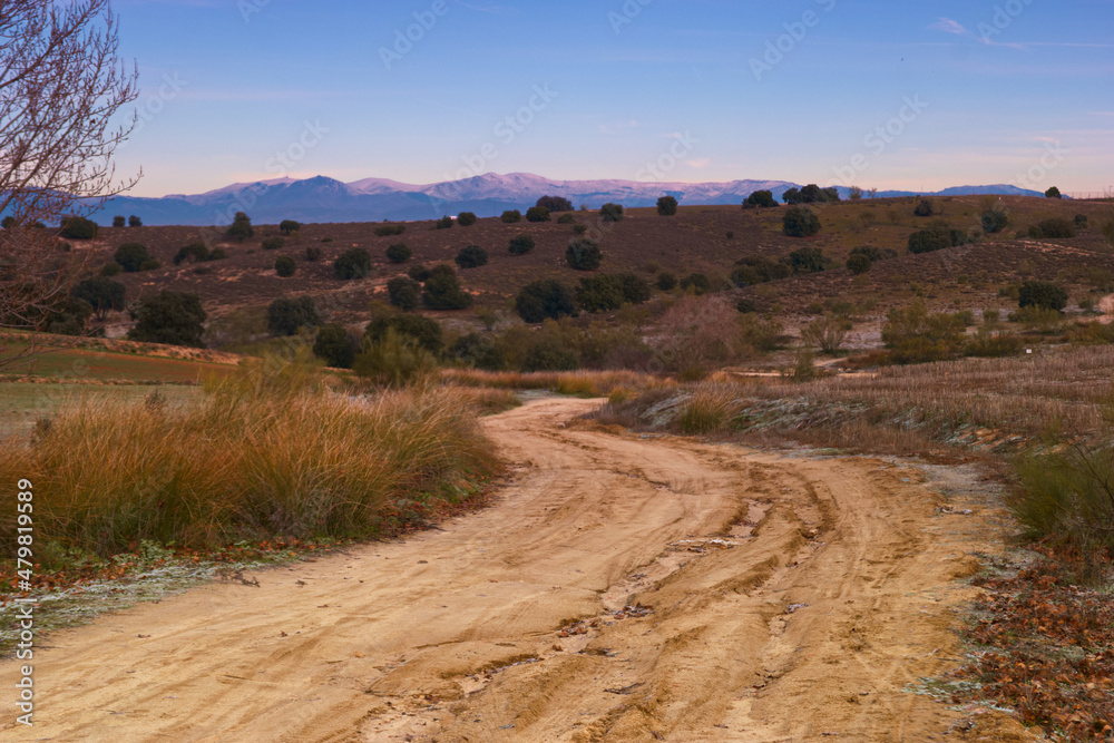 Fototapeta premium krajobraz drzewa góry szczyty niebo błękit